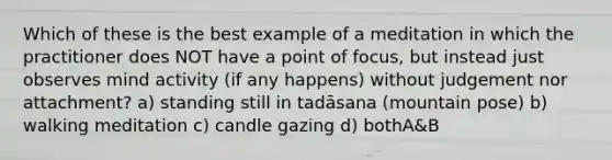 Which of these is the best example of a meditation in which the practitioner does NOT have a point of focus, but instead just observes mind activity (if any happens) without judgement nor attachment? a) standing still in tadāsana (mountain pose) b) walking meditation c) candle gazing d) bothA&B