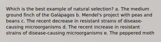 Which is the best example of natural selection? ​a. The medium ground finch of the Galápagos ​b. Mendel's project with peas and beans c. The recent decrease in resistant strains of disease-causing microorganisms d. The recent increase in resistant strains of disease-causing microorganisms e. The peppered moth