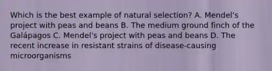 Which is the best example of natural selection? A. Mendel's project with peas and beans B. The medium ground finch of the Galápagos C. Mendel's project with peas and beans D. The recent increase in resistant strains of disease-causing microorganisms