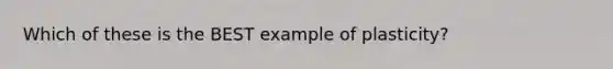 Which of these is the BEST example of plasticity?