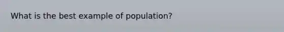 What is the best example of population?