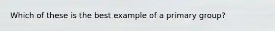 Which of these is the best example of a primary group?
