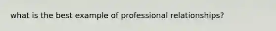 what is the best example of professional relationships?