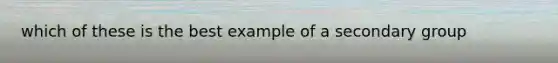 which of these is the best example of a secondary group