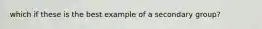 which if these is the best example of a secondary group?