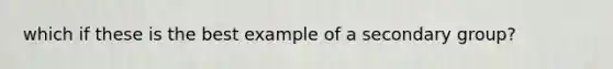 which if these is the best example of a secondary group?