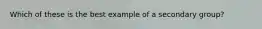 ​Which of these is the best example of a secondary group?