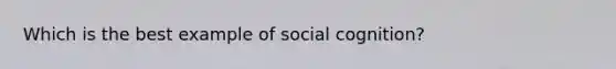 Which is the best example of social cognition?