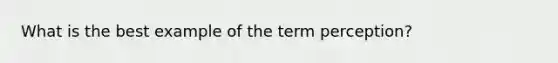 What is the best example of the term perception?