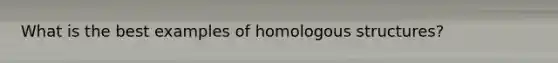 What is the best examples of homologous structures?