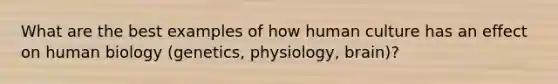 What are the best examples of how human culture has an effect on human biology (genetics, physiology, brain)?