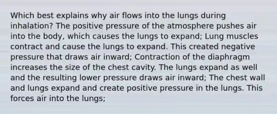 Which best explains why air flows into the lungs during inhalation? The positive pressure of the atmosphere pushes air into the body, which causes the lungs to expand; Lung muscles contract and cause the lungs to expand. This created negative pressure that draws air inward; Contraction of the diaphragm increases the size of the chest cavity. The lungs expand as well and the resulting lower pressure draws air inward; The chest wall and lungs expand and create positive pressure in the lungs. This forces air into the lungs;