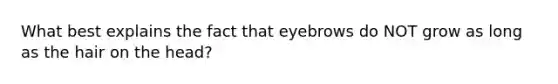 What best explains the fact that eyebrows do NOT grow as long as the hair on the head?