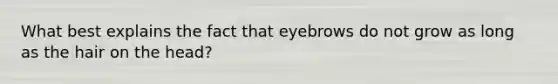 What best explains the fact that eyebrows do not grow as long as the hair on the head?