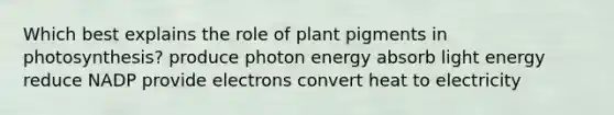 Which best explains the role of plant pigments in photosynthesis? produce photon energy absorb light energy reduce NADP provide electrons convert heat to electricity