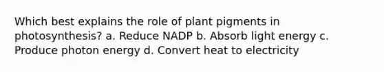 Which best explains the role of plant pigments in photosynthesis? a. Reduce NADP b. Absorb light energy c. Produce photon energy d. Convert heat to electricity