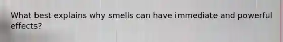 What best explains why smells can have immediate and powerful effects?