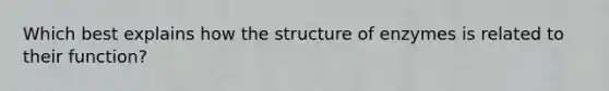 Which best explains how the structure of enzymes is related to their function?