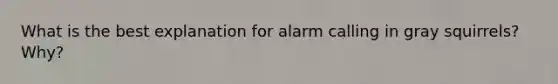 What is the best explanation for alarm calling in gray squirrels? Why?