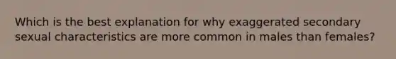 Which is the best explanation for why exaggerated secondary sexual characteristics are more common in males than females?