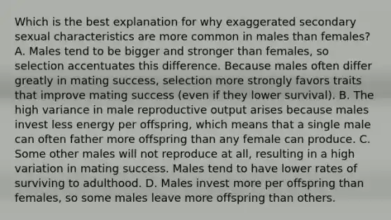 Which is the best explanation for why exaggerated secondary sexual characteristics are more common in males than females? A. Males tend to be bigger and stronger than females, so selection accentuates this difference. Because males often differ greatly in mating success, selection more strongly favors traits that improve mating success (even if they lower survival). B. The high variance in male reproductive output arises because males invest less energy per offspring, which means that a single male can often father more offspring than any female can produce. C. Some other males will not reproduce at all, resulting in a high variation in mating success. Males tend to have lower rates of surviving to adulthood. D. Males invest more per offspring than females, so some males leave more offspring than others.