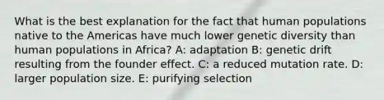 What is the best explanation for the fact that human populations native to the Americas have much lower genetic diversity than human populations in Africa? A: adaptation B: genetic drift resulting from the founder effect. C: a reduced mutation rate. D: larger population size. E: purifying selection