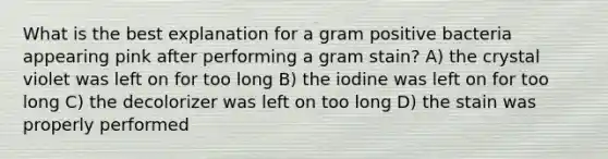 What is the best explanation for a gram positive bacteria appearing pink after performing a gram stain? A) the crystal violet was left on for too long B) the iodine was left on for too long C) the decolorizer was left on too long D) the stain was properly performed