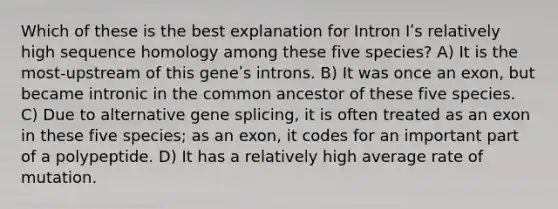 Which of these is the best explanation for Intron Iʹs relatively high sequence homology among these five species? A) It is the most-upstream of this geneʹs introns. B) It was once an exon, but became intronic in the common ancestor of these five species. C) Due to alternative gene splicing, it is often treated as an exon in these five species; as an exon, it codes for an important part of a polypeptide. D) It has a relatively high average rate of mutation.