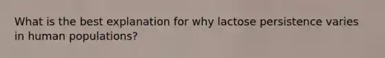 What is the best explanation for why lactose persistence varies in human populations?
