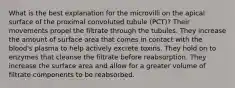 What is the best explanation for the microvilli on the apical surface of the proximal convoluted tubule (PCT)? Their movements propel the filtrate through the tubules. They increase the amount of surface area that comes in contact with the blood's plasma to help actively excrete toxins. They hold on to enzymes that cleanse the filtrate before reabsorption. They increase the surface area and allow for a greater volume of filtrate components to be reabsorbed.