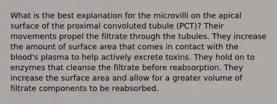 What is the best explanation for the microvilli on the apical surface of the proximal convoluted tubule (PCT)? Their movements propel the filtrate through the tubules. They increase the amount of surface area that comes in contact with the blood's plasma to help actively excrete toxins. They hold on to enzymes that cleanse the filtrate before reabsorption. They increase the surface area and allow for a greater volume of filtrate components to be reabsorbed.