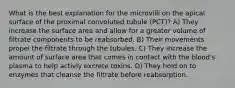 What is the best explanation for the microvilli on the apical surface of the proximal convoluted tubule (PCT)? A) They increase the surface area and allow for a greater volume of filtrate components to be reabsorbed. B) Their movements propel the filtrate through the tubules. C) They increase the amount of surface area that comes in contact with the blood's plasma to help activly excrete toxins. D) They hold on to enzymes that cleanse the filtrate before reabsorption.