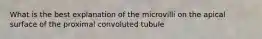 What is the best explanation of the microvilli on the apical surface of the proximal convoluted tubule