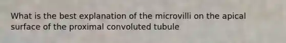 What is the best explanation of the microvilli on the apical surface of the proximal convoluted tubule