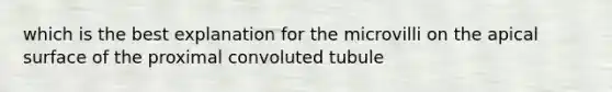 which is the best explanation for the microvilli on the apical surface of the proximal convoluted tubule