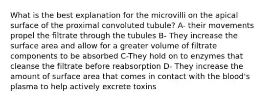 What is the best explanation for the microvilli on the apical surface of the proximal convoluted tubule? A- their movements propel the filtrate through the tubules B- They increase the surface area and allow for a greater volume of filtrate components to be absorbed C-They hold on to enzymes that cleanse the filtrate before reabsorption D- They increase the amount of surface area that comes in contact with the blood's plasma to help actively excrete toxins