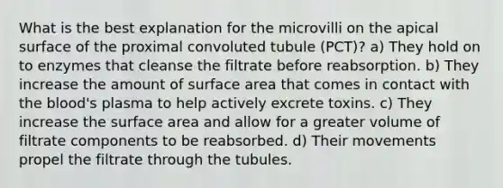 What is the best explanation for the microvilli on the apical surface of the proximal convoluted tubule (PCT)? a) They hold on to enzymes that cleanse the filtrate before reabsorption. b) They increase the amount of surface area that comes in contact with the blood's plasma to help actively excrete toxins. c) They increase the surface area and allow for a greater volume of filtrate components to be reabsorbed. d) Their movements propel the filtrate through the tubules.