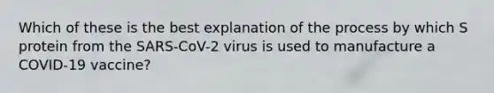 Which of these is the best explanation of the process by which S protein from the SARS-CoV-2 virus is used to manufacture a COVID-19 vaccine?