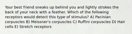 Your best friend sneaks up behind you and lightly strokes the back of your neck with a feather. Which of the following receptors would detect this type of stimulus? A) Pacinian corpuscles B) Meissner's corpuscles C) Ruffini corpuscles D) Hair cells E) Stretch receptors