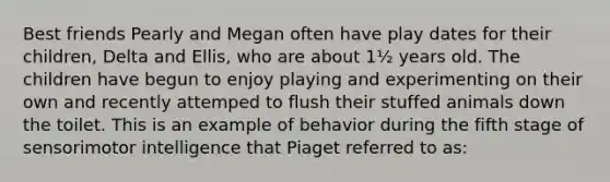 Best friends Pearly and Megan often have play dates for their children, Delta and Ellis, who are about 1½ years old. The children have begun to enjoy playing and experimenting on their own and recently attemped to flush their stuffed animals down the toilet. This is an example of behavior during the fifth stage of sensorimotor intelligence that Piaget referred to as: