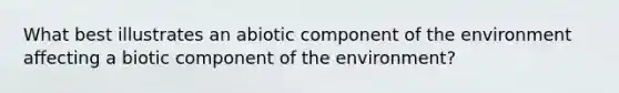 What best illustrates an abiotic component of the environment affecting a biotic component of the environment?