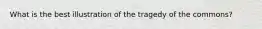 What is the best illustration of the tragedy of the commons?