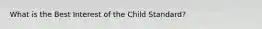 What is the Best Interest of the Child Standard?