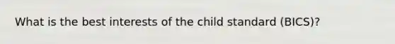 What is the best interests of the child standard (BICS)?