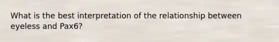 What is the best interpretation of the relationship between eyeless and Pax6?
