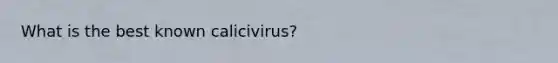 What is the best known calicivirus?