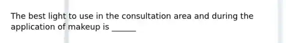 The best light to use in the consultation area and during the application of makeup is ______