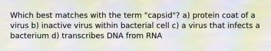 Which best matches with the term "capsid"? a) protein coat of a virus b) inactive virus within bacterial cell c) a virus that infects a bacterium d) transcribes DNA from RNA