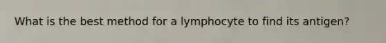 What is the best method for a lymphocyte to find its antigen?