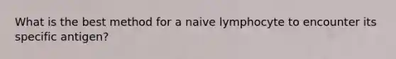 What is the best method for a naive lymphocyte to encounter its specific antigen?